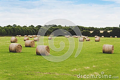 Picture of sheaves of hay in Ireland. Stock Photo