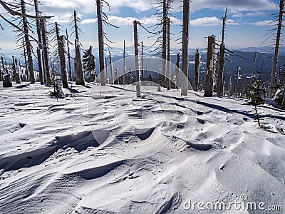 Mountain landscape with trees and detailed snow rifts Stock Photo