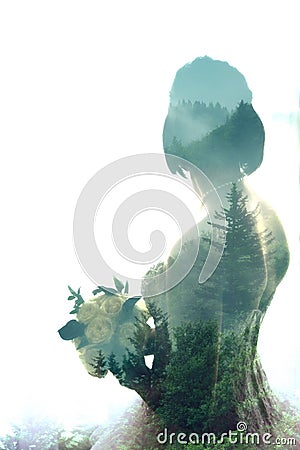 Silhouette of a bride and a forest Stock Photo