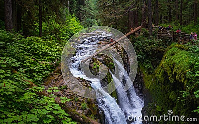 Waterfall with Rock and Moss and tree at Sol Duc Fall Editorial Stock Photo