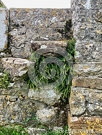 Stile in wall, Clonmacnoise Monastery, County Offaly, Ireland Stock Photo