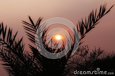 This is the picture of the sunset. Stock Photo