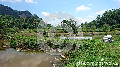 Enjoying a nice green scenery Stock Photo