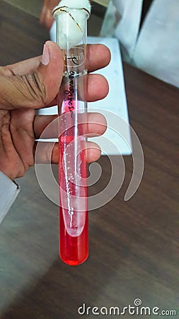 Test tubes in test tube stand Editorial Stock Photo