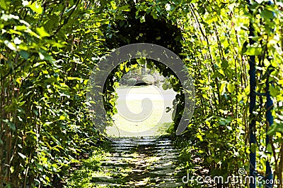 Picture, Tree tunnel ,colourful beautiful in garden Stock Photo