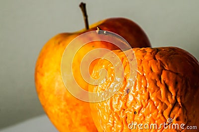 A picture of two ordinary apples, without modifications Stock Photo