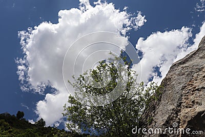 Sangla Valley, Kinnaur, Himachal Pradesh Stock Photo