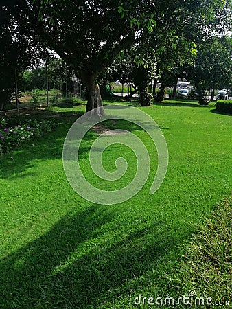 the ilama iqbal International Airport lahore pakistan parking green fields at 4:00pm Stock Photo