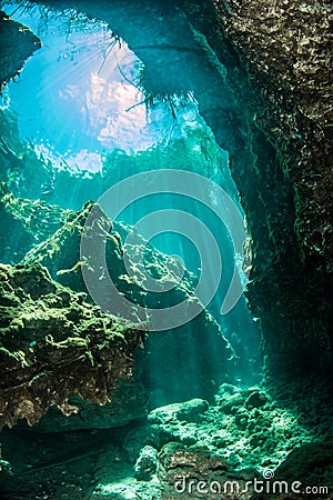 Scuba diving in the Casa Cenote in Mexico Stock Photo