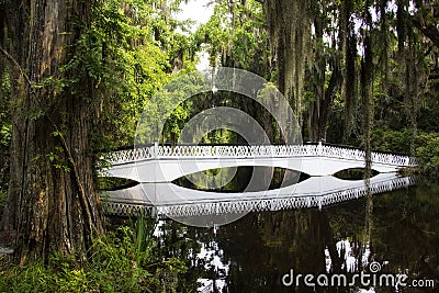 White bridge going over a swamp at the Magnolia plantation in Charleston South Carolina Stock Photo