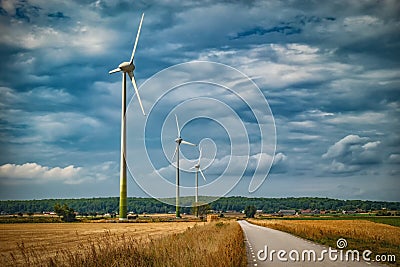 Picture of wind farm generators in the yellow field. Stock Photo