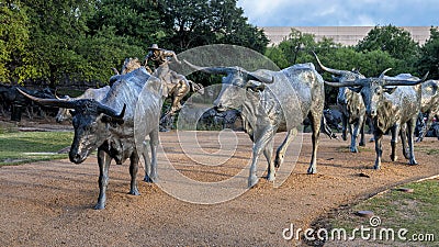 Bronze cowboy on horseback with steers in the foreground in the Pioneer Plaza, Dallas, Texas. Stock Photo