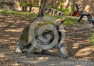 `Galapagos Tortise`, a bronze sculpture by Tom Tischler at the Dallas Zoo in Texas. Editorial Stock Photo