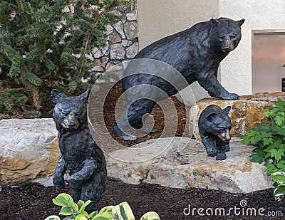 Bronze sculptures of a mother black bear and her cubs in Beaver Creek, Colorado. Editorial Stock Photo