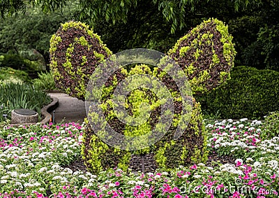 Butterfly topiary on display at the Fort Worth Botanic Garden, Texas. Editorial Stock Photo