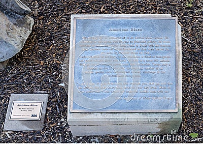 Information plate for American Bison by Anita Pauwels, public art in Frisco, Texas. Editorial Stock Photo