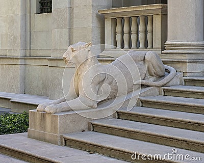 The left of two lioness sculptures by sculptor Edward Clark Potter flanking the 36th Street entrance of The Morgan Library & Museu Editorial Stock Photo