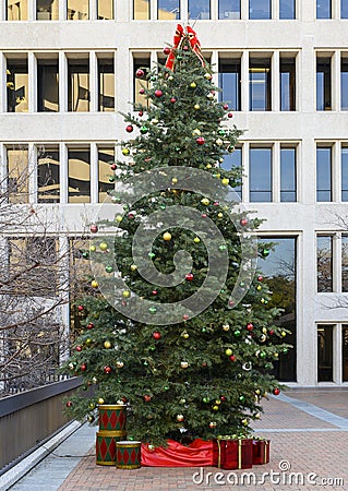 Multi-story Christmas tree on McDermott Plaza, University of Texas at Dallas Southwestern Medical School Stock Photo