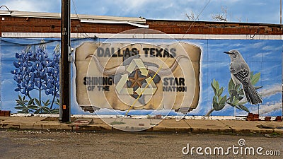 Pictured is a mural on the side of a business in Dallas, Texas, featuring the state flower, the state bird, and the longhorn steer Editorial Stock Photo