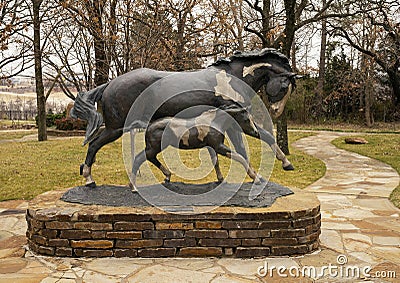 `Paint Mare and Filly` by Veryl Goodnight in garden behind the National Cowboy and Western Heritage Museum in Oklahoma City. Editorial Stock Photo