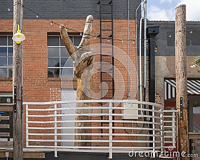 Peace sign carved from dead but still rooted tree at TYPO in Oak Cliff, Dallas. Editorial Stock Photo