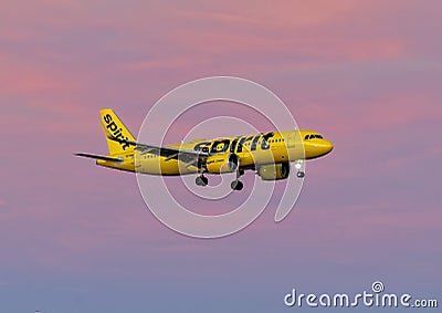 Spirit Airlines jet landing in the evening at Love Field in Dallas, Texas. Editorial Stock Photo