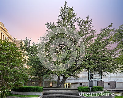 `Steel`s Tavern Oaks` in downtown Fort Worth, Texas. Editorial Stock Photo