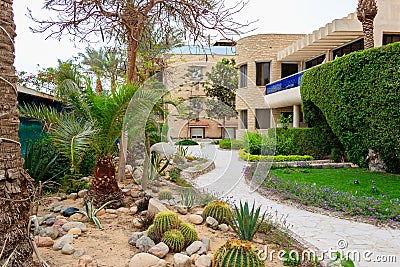 Pictures of a path through the cactus garden with flowers and a decorative statue of a bird Editorial Stock Photo