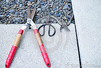 Pictures of tree cutting scissors Various types laid on the floor Stock Photo
