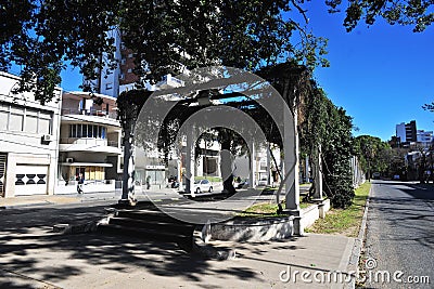 picturesque city with a boulevard with trees santa fe argentina Stock Photo