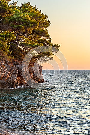 Picturesque Cliffs with pine trees at Sunset Stock Photo