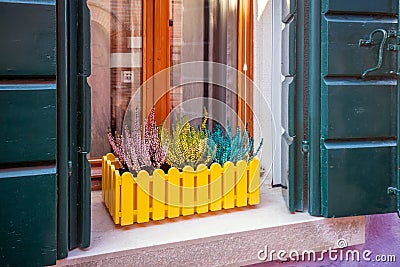 Venice windows and doors Stock Photo