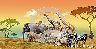Picturesque landscape of savanna and wild animals group Stock Photo