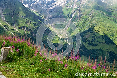 Picturesque mountains and meadows along Grossglockner High Alpine Road, Austria Stock Photo