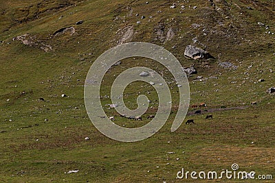 Picturesque mountainsides near the village of Ushguli in Svaneti. Georgia. Stock Photo