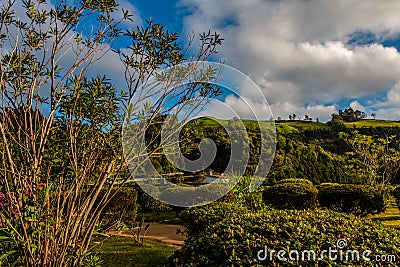 Picturesque park with evaporation from natural active geysers at Stock Photo