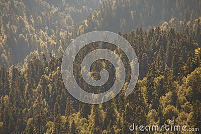 Picturesque photo of mountain range with green trees Stock Photo