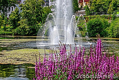 Picturesque pond with fountain in the spa park Bad Schwalbach, Germany Stock Photo