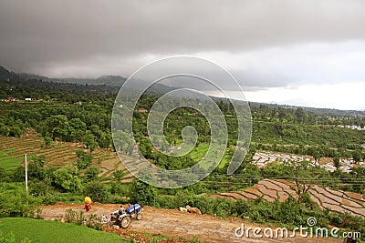 Picturesque rice fields of kangra India Stock Photo