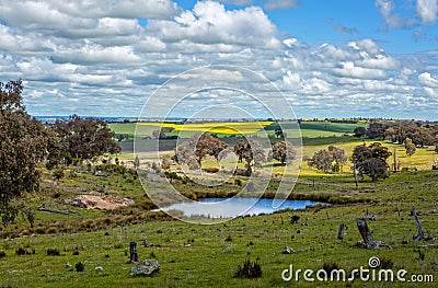 Picturesque rural farmlands as far as the eye can see Stock Photo