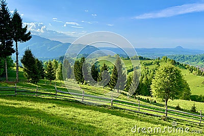 Picturesque rural green landscape with trees and fence Stock Photo