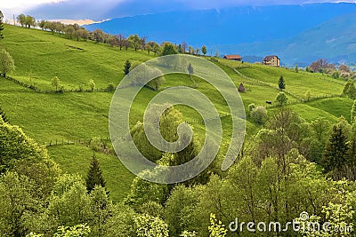 Picturesque rural green landscape with trees and fence Stock Photo