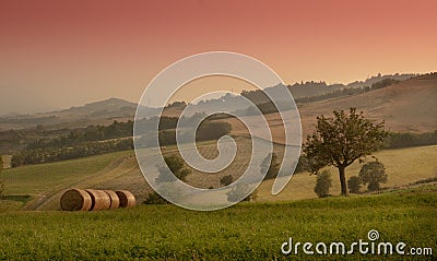 Picturesque rural landscape Stock Photo