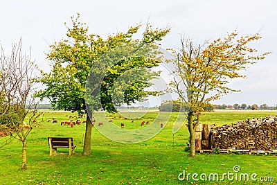 Rural landscape at the Lieper Winkel, Usedom, Germany Stock Photo