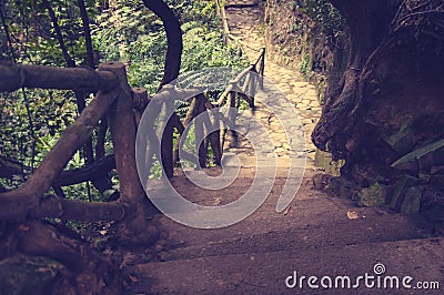 A picturesque staircase in the jungle of Vietnam Stock Photo