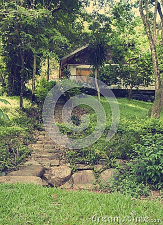 A picturesque staircase leading to the house in the jungle of Vietnam. Stock Photo