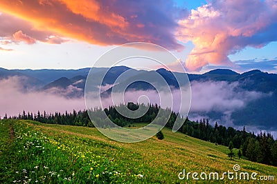 Picturesque summer landscape with colorful sunrise Stock Photo