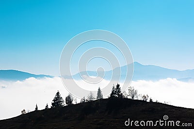 Picturesque summer landscape in sunny day Stock Photo