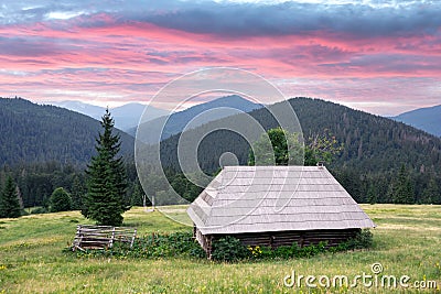 Picturesque summer meadow with wooden house Stock Photo