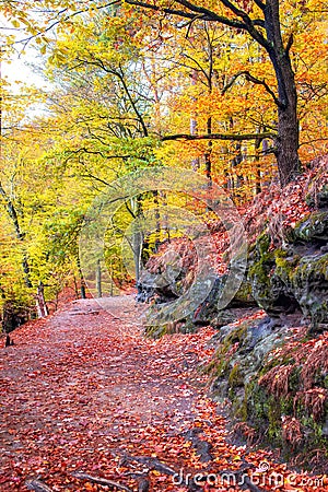 Picturesque tourist pathway in autumn forest. Saxon Switzerland National Park, Germany Stock Photo